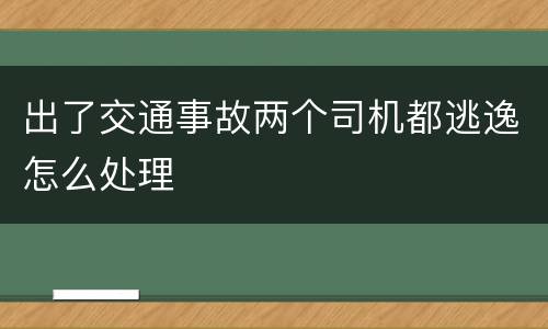 出了交通事故两个司机都逃逸怎么处理