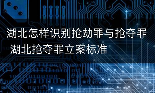 湖北怎样识别抢劫罪与抢夺罪 湖北抢夺罪立案标准