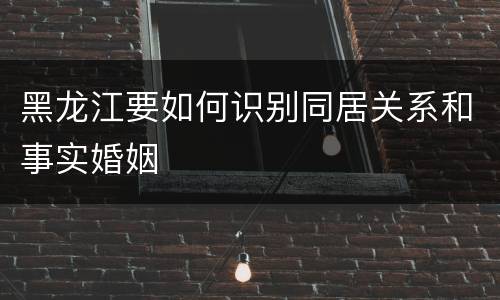 黑龙江要如何识别同居关系和事实婚姻