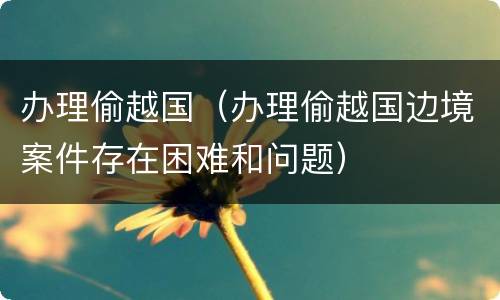 办理偷越国（办理偷越国边境案件存在困难和问题）