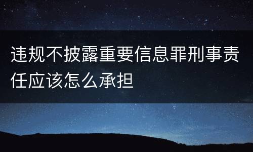 违规不披露重要信息罪刑事责任应该怎么承担
