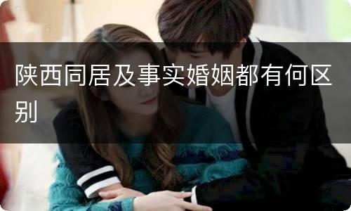 陕西同居及事实婚姻都有何区别
