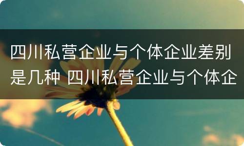 四川私营企业与个体企业差别是几种 四川私营企业与个体企业差别是几种情况