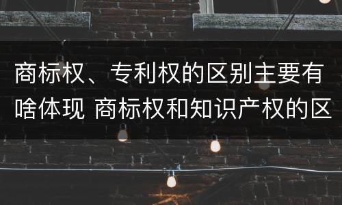 商标权、专利权的区别主要有啥体现 商标权和知识产权的区别
