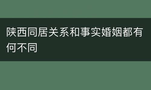 陕西同居关系和事实婚姻都有何不同