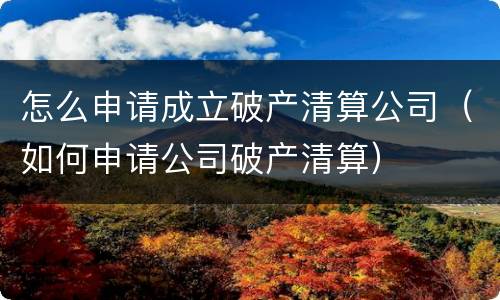 怎么申请成立破产清算公司（如何申请公司破产清算）