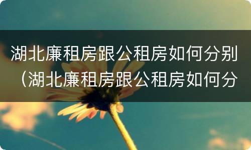 湖北廉租房跟公租房如何分别（湖北廉租房跟公租房如何分别的）