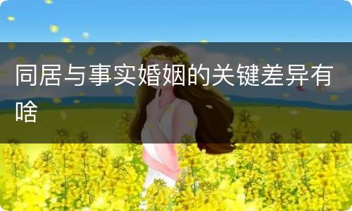 同居与事实婚姻的关键差异有啥