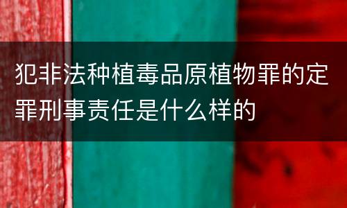 犯非法种植毒品原植物罪的定罪刑事责任是什么样的