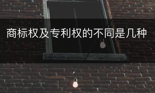 商标权及专利权的不同是几种