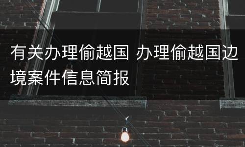 有关办理偷越国 办理偷越国边境案件信息简报