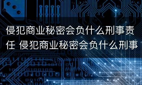 侵犯商业秘密会负什么刑事责任 侵犯商业秘密会负什么刑事责任