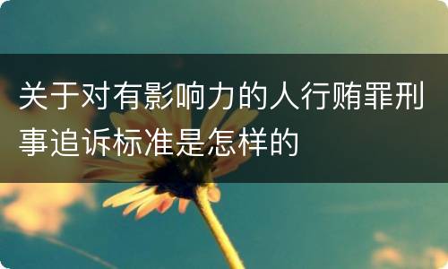 关于对有影响力的人行贿罪刑事追诉标准是怎样的