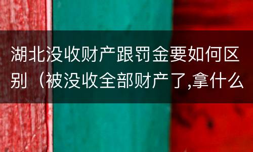 湖北没收财产跟罚金要如何区别（被没收全部财产了,拿什么交罚金）