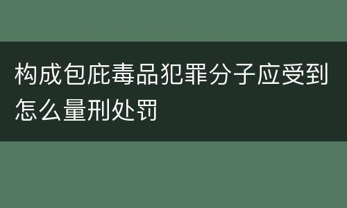 构成包庇毒品犯罪分子应受到怎么量刑处罚