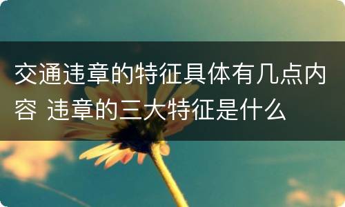 交通违章的特征具体有几点内容 违章的三大特征是什么