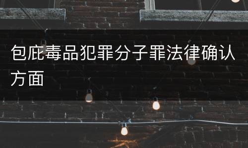 包庇毒品犯罪分子罪法律确认方面