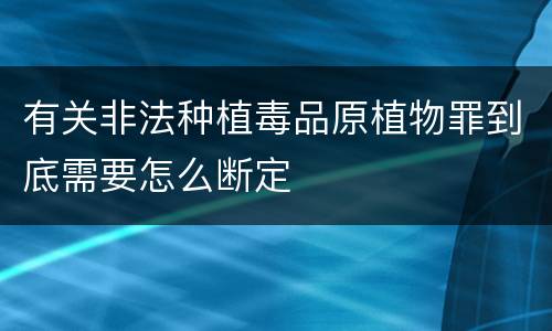 有关非法种植毒品原植物罪到底需要怎么断定