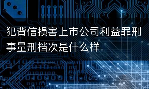 犯背信损害上市公司利益罪刑事量刑档次是什么样
