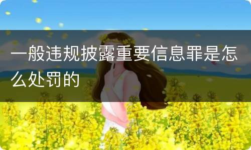 一般违规披露重要信息罪是怎么处罚的
