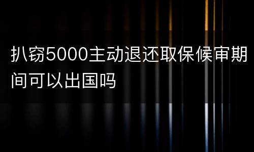 扒窃5000主动退还取保候审期间可以出国吗