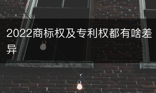 2022商标权及专利权都有啥差异