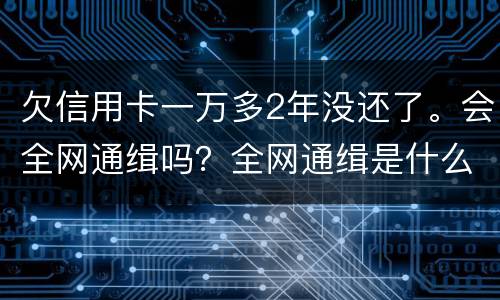 欠信用卡一万多2年没还了。会全网通缉吗？全网通缉是什么意思