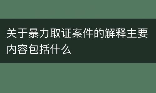 关于暴力取证案件的解释主要内容包括什么