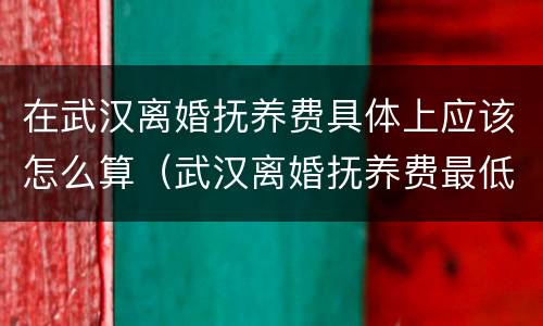 在武汉离婚抚养费具体上应该怎么算（武汉离婚抚养费最低标准）
