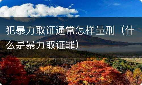 犯暴力取证通常怎样量刑（什么是暴力取证罪）