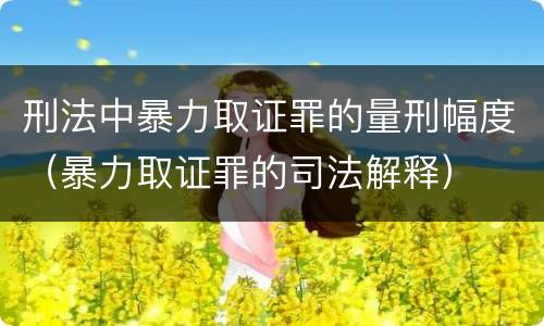 刑法中暴力取证罪的量刑幅度（暴力取证罪的司法解释）