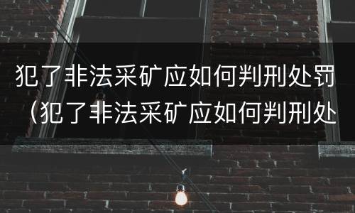 犯了非法采矿应如何判刑处罚（犯了非法采矿应如何判刑处罚案例）