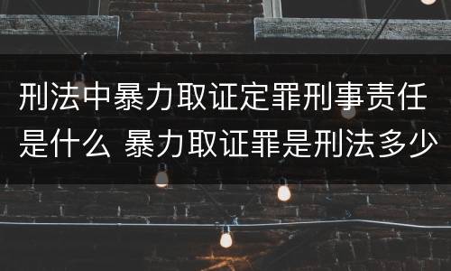刑法中暴力取证定罪刑事责任是什么 暴力取证罪是刑法多少条