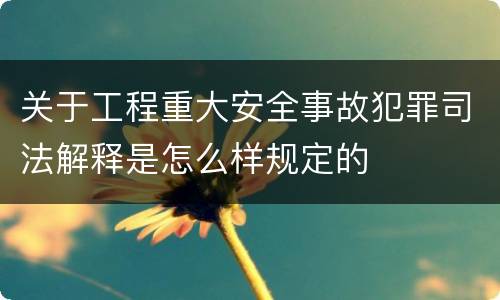 关于工程重大安全事故犯罪司法解释是怎么样规定的