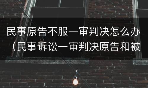 民事原告不服一审判决怎么办（民事诉讼一审判决原告和被告都不服怎么办）
