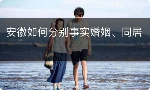 安徽如何分别事实婚姻、同居