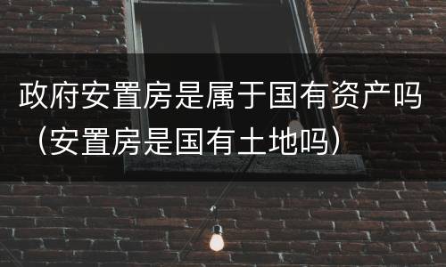 政府安置房是属于国有资产吗（安置房是国有土地吗）