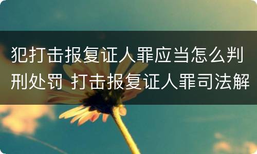犯打击报复证人罪应当怎么判刑处罚 打击报复证人罪司法解释