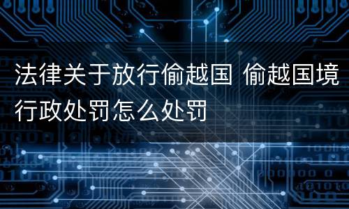 法律关于放行偷越国 偷越国境行政处罚怎么处罚