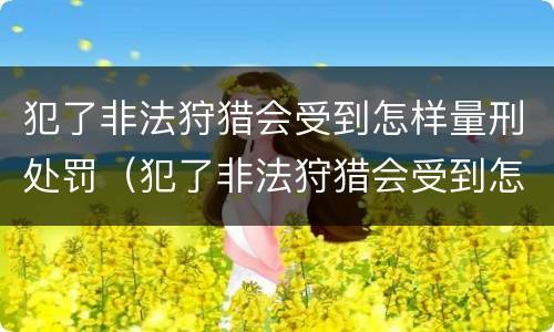 犯了非法狩猎会受到怎样量刑处罚（犯了非法狩猎会受到怎样量刑处罚呢）