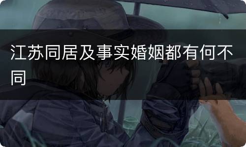 江苏同居及事实婚姻都有何不同