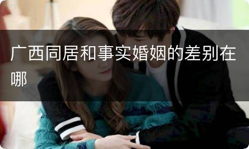 广西同居和事实婚姻的差别在哪
