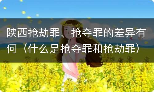 陕西抢劫罪、抢夺罪的差异有何（什么是抢夺罪和抢劫罪）