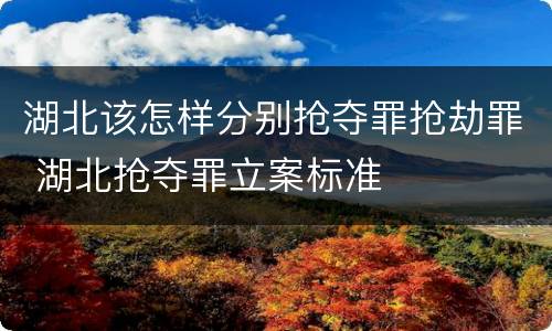 湖北该怎样分别抢夺罪抢劫罪 湖北抢夺罪立案标准