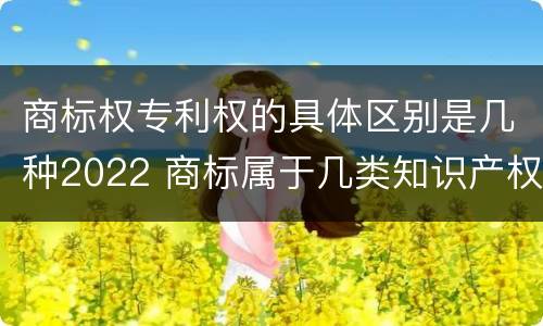 商标权专利权的具体区别是几种2022 商标属于几类知识产权