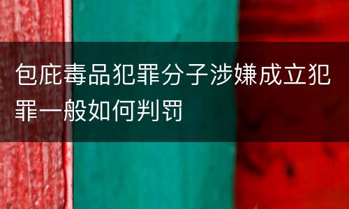 包庇毒品犯罪分子涉嫌成立犯罪一般如何判罚