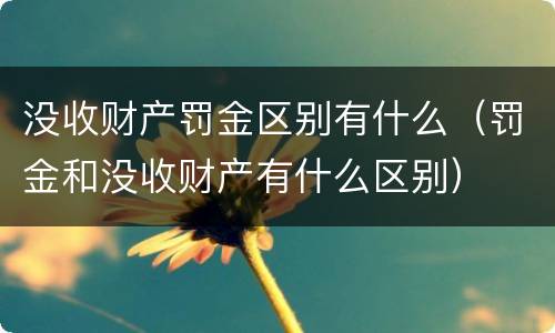 没收财产罚金区别有什么（罚金和没收财产有什么区别）