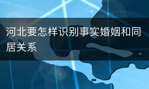 河北要怎样识别事实婚姻和同居关系