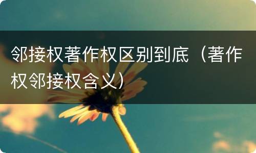 邻接权著作权区别到底（著作权邻接权含义）
