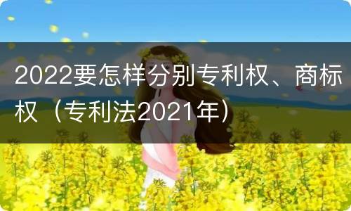 2022要怎样分别专利权、商标权（专利法2021年）
